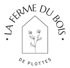 téléchargement